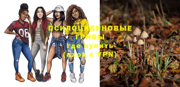 MESCALINE Алзамай