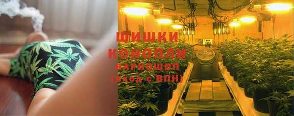 spice Абинск