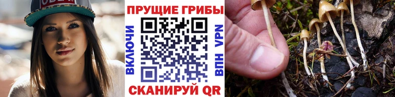 Псилоцибиновые грибы Magic Shrooms Сертолово